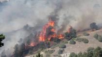 Erzurum Oltu’da orman yangını