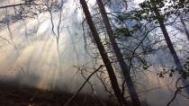 Erzurum Pasinler'de orman yangını